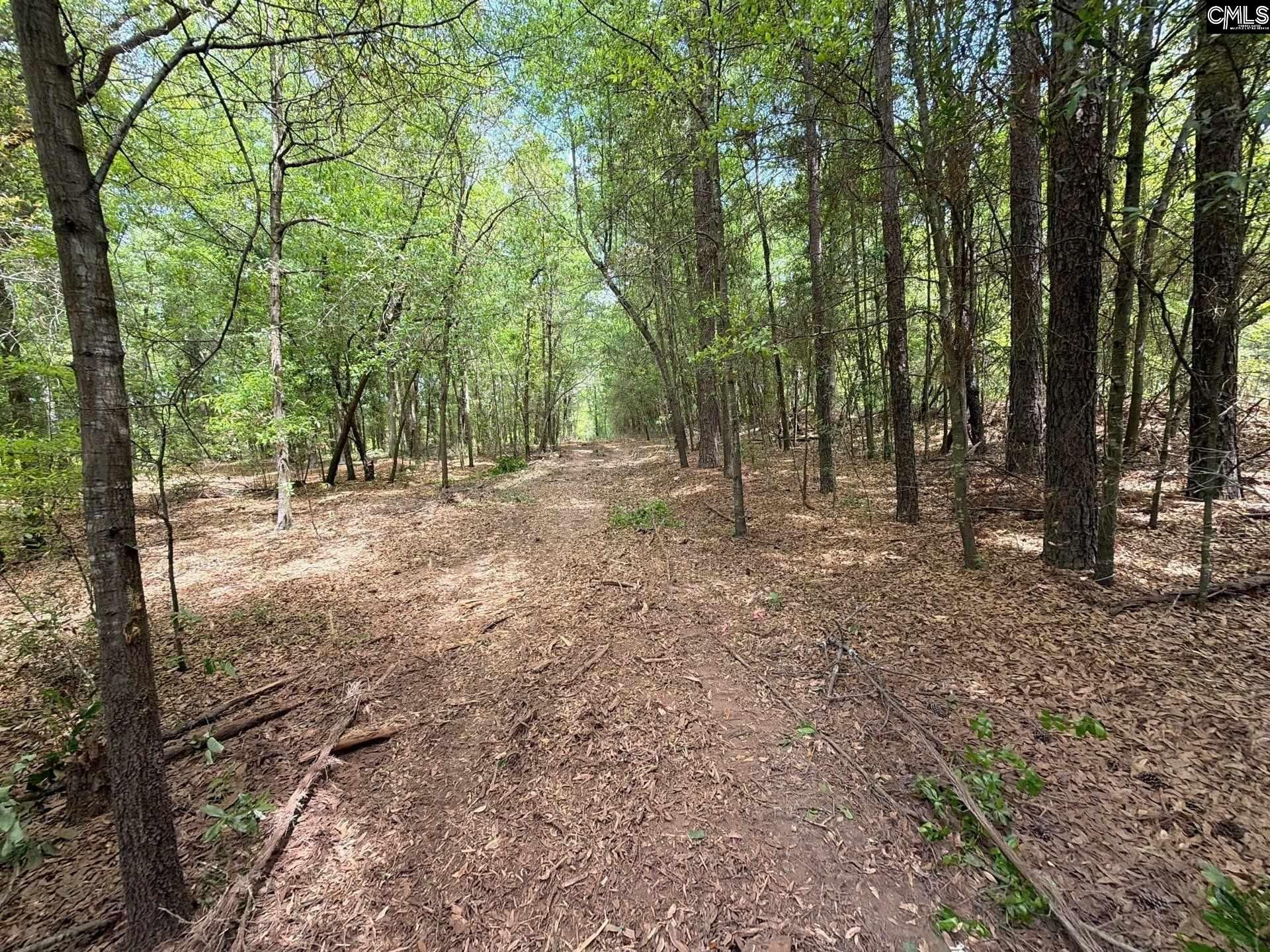 Rrf 4 Rogers Cemetery Road  Photo 20