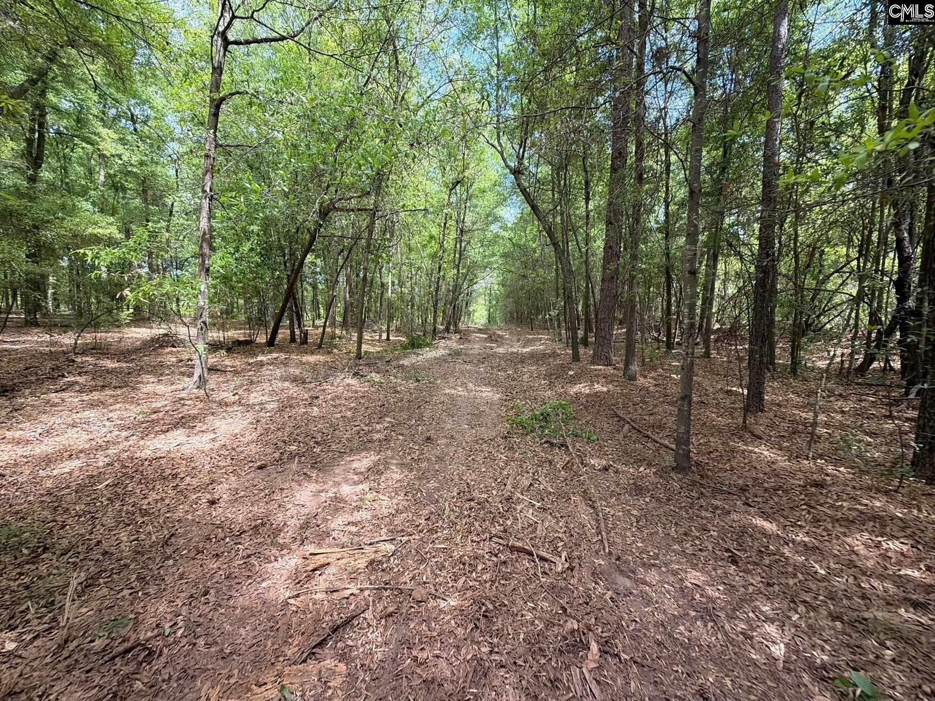 Rrf 4 Rogers Cemetery Road  Photo 21