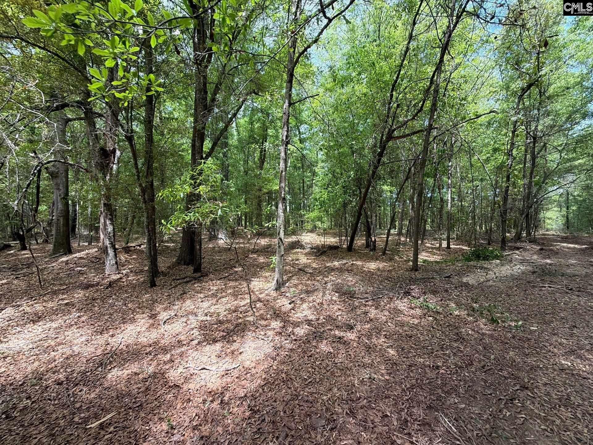 Rrf 4 Rogers Cemetery Road  Photo 22