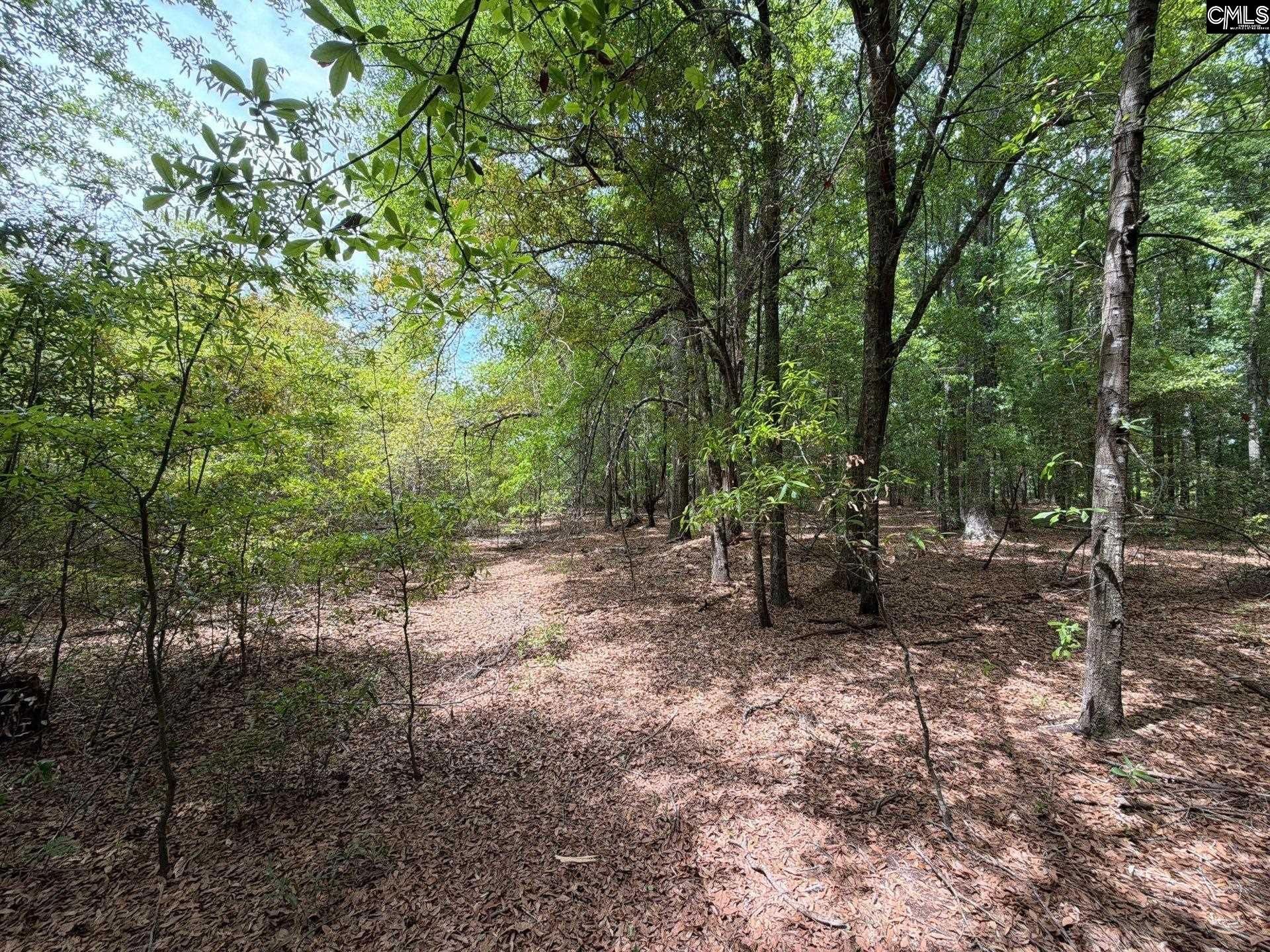 Rrf 4 Rogers Cemetery Road  Photo 23