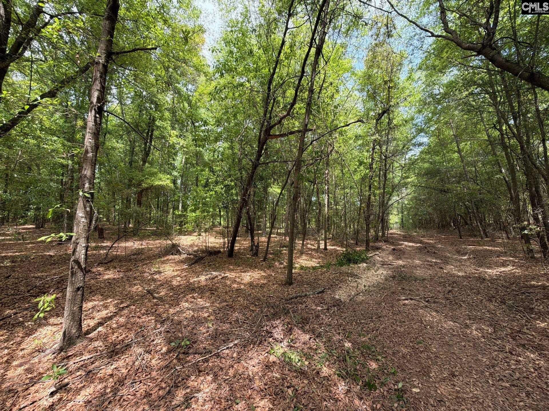 Rrf 4 Rogers Cemetery Road  Photo 24