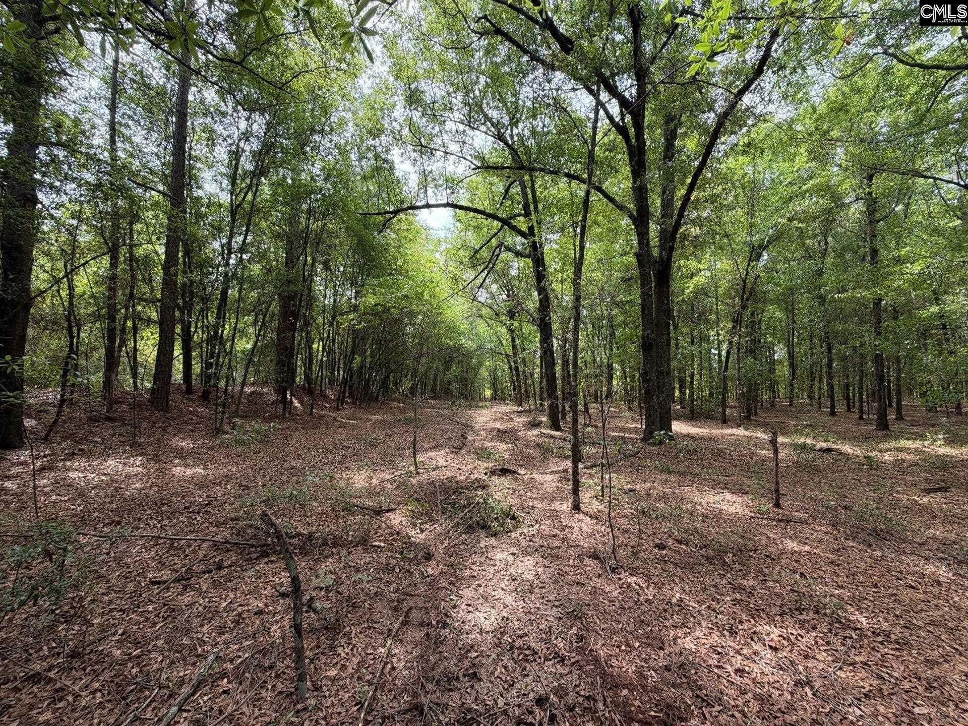 Rrf 4 Rogers Cemetery Road  Photo 25