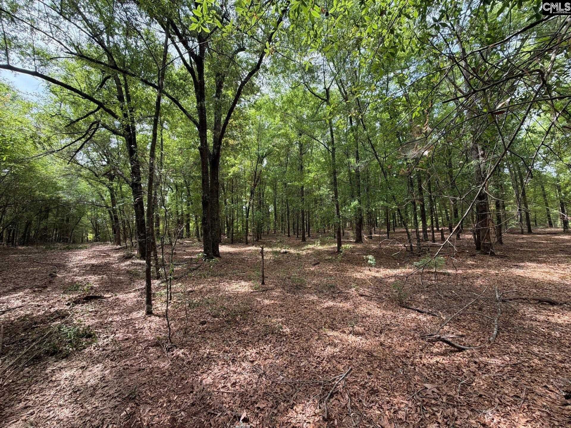 Rrf 4 Rogers Cemetery Road  Photo 26