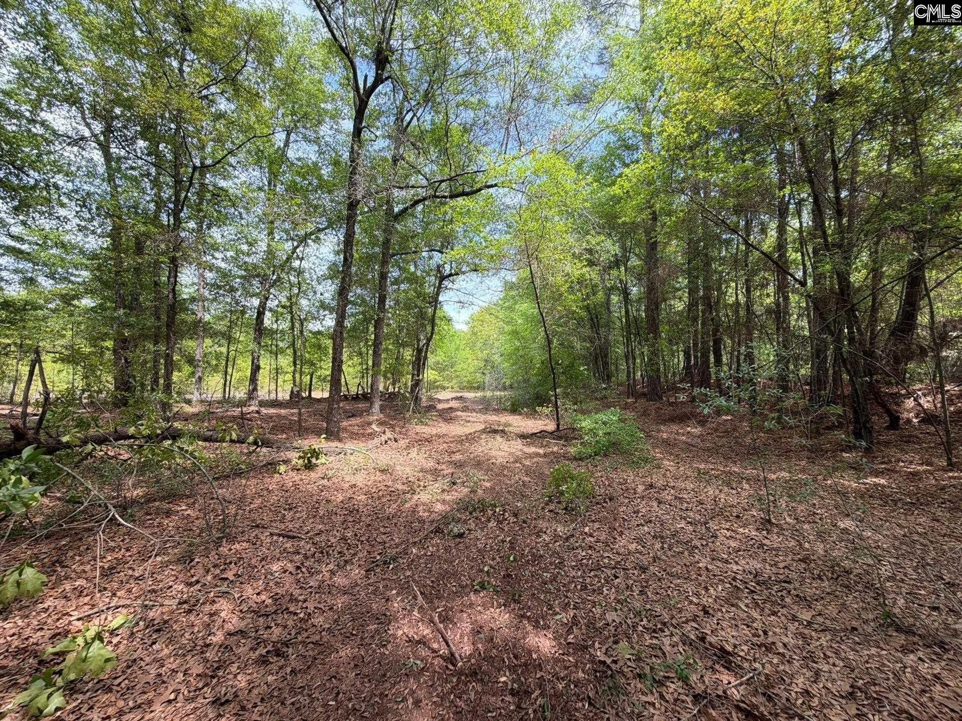 Rrf 4 Rogers Cemetery Road  Photo 27