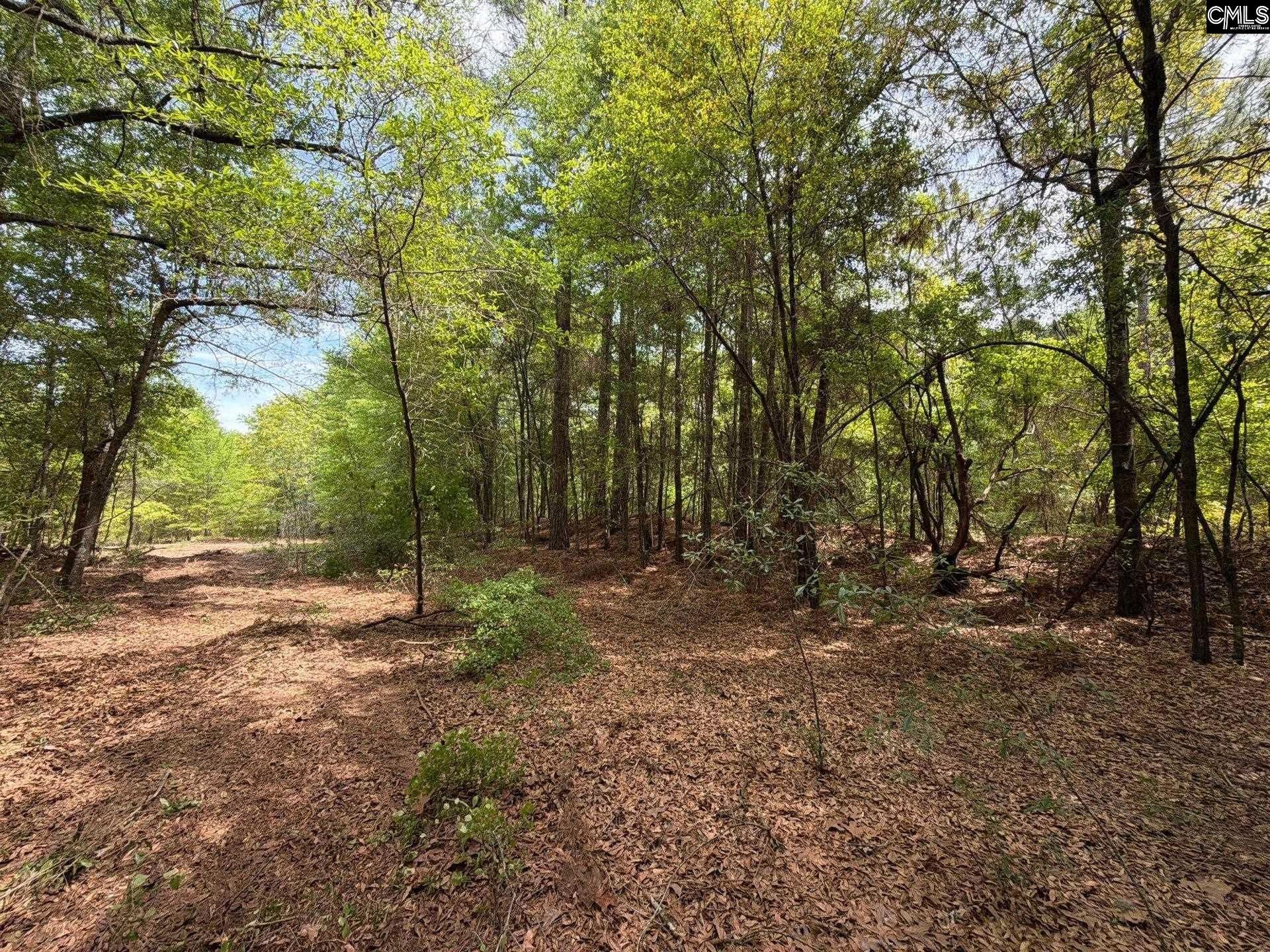 Rrf 4 Rogers Cemetery Road  Photo 28