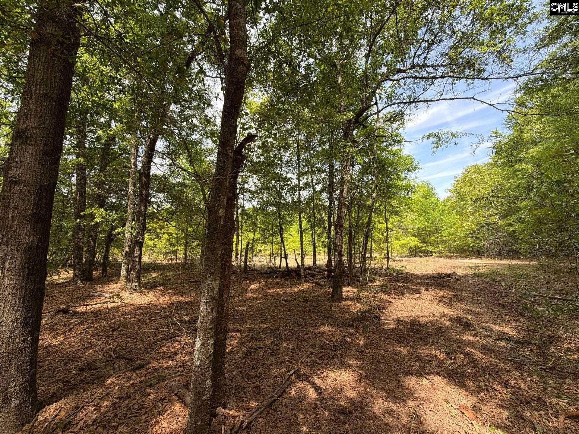 Rrf 4 Rogers Cemetery Road  Photo 29