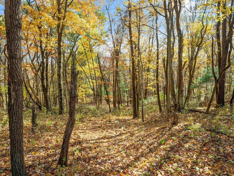 129 Orchard Wood Path, Granville, OH 43023 Photo 98