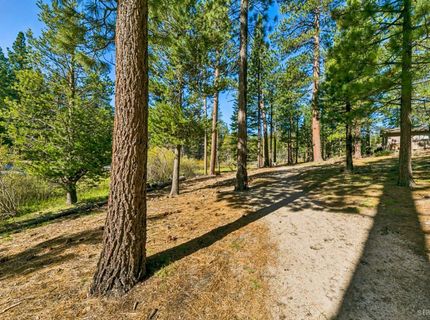 610 Anita Drive, South Lake Tahoe, CA 96150 Photo