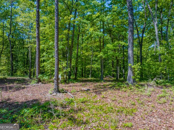 16 ACRES Gun Club Road, Buchanan, GA 30113