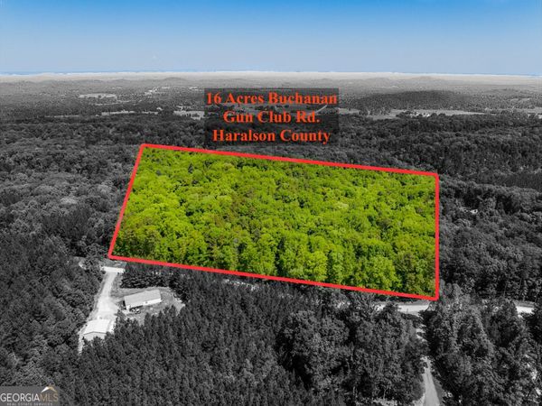 16 ACRES Gun Club Road, Buchanan, GA 30113
