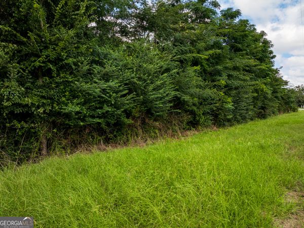 2.8 +/- ACRES Pineway Highway, Pineview, GA 31071