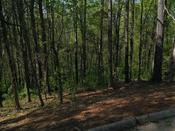00 Elm Lane Lot 16 Lane, Sweetwater, TN 37874