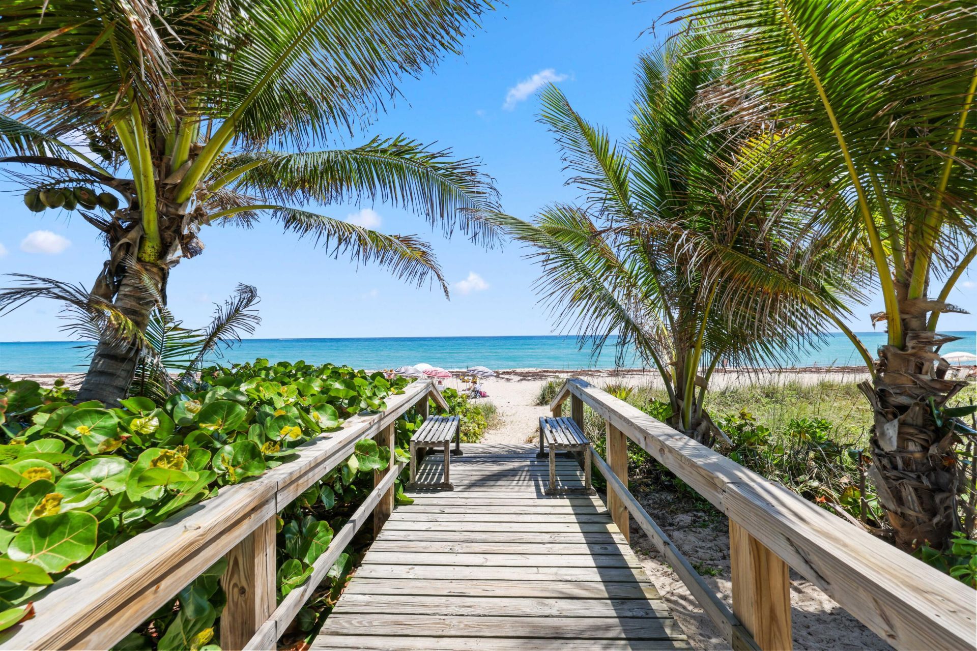 246 Merrain Road, Palm Beach, FL 33480 Photo
