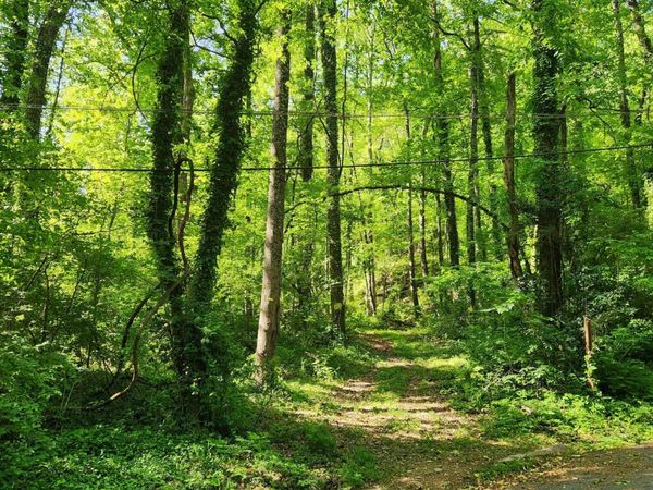 0 Gaylord Street, Red Bank, TN 37415