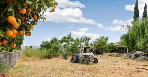 202 Olivero Rd, Modesto, CA 95358 Photo