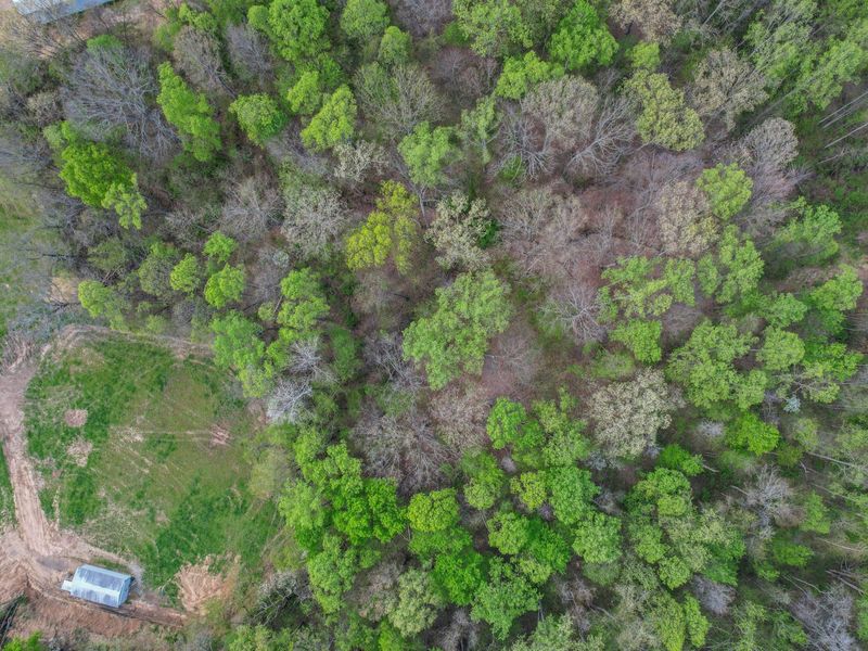 36050 Smith Chapel Road, Logan, OH 43138 Photo 89