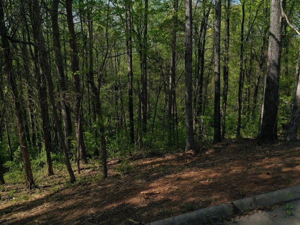 0 Elm Lane Lot 16 Lane, Sweetwater, TN 37874
