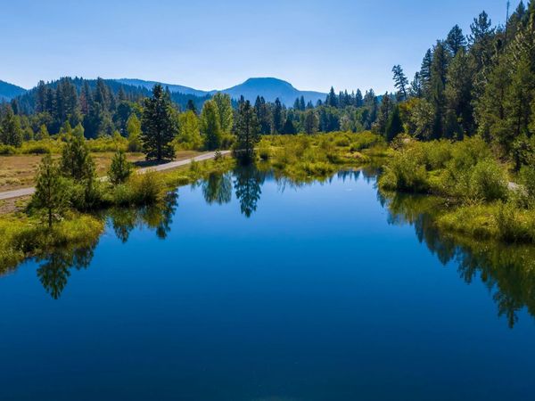 1200,1101,1000 Golden Feather Ranch Road, Graeagle, CA 96103