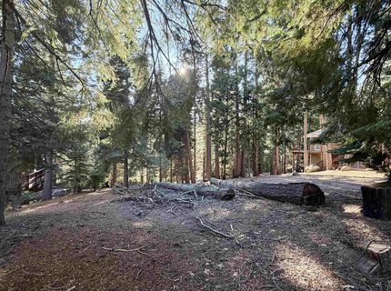 638 Pine Canyon Road, Lake Almanor, CA 96137 Photo