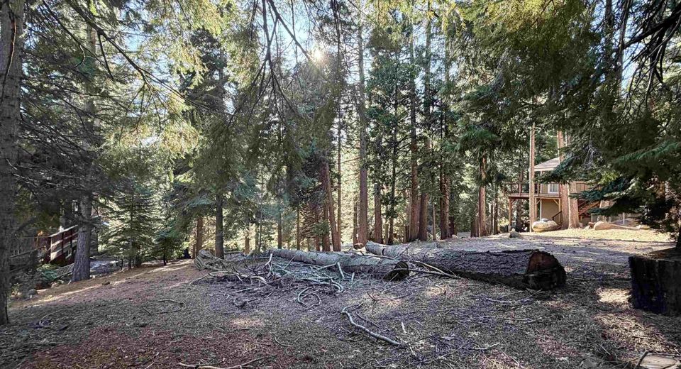 638 Pine Canyon Road, Lake Almanor, CA 96137 Photo