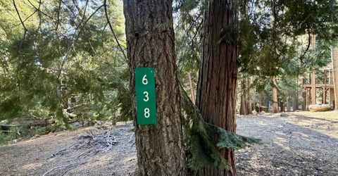 638 Pine Canyon Road, Lake Almanor, CA 96137 Photo