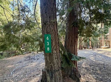 638 Pine Canyon Road, Lake Almanor, CA 96137 Photo