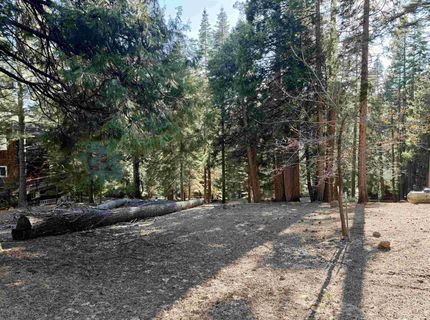 638 Pine Canyon Road, Lake Almanor, CA 96137 Photo