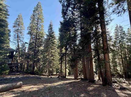 638 Pine Canyon Road, Lake Almanor, CA 96137 Photo
