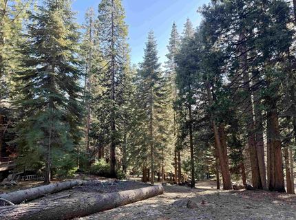 638 Pine Canyon Road, Lake Almanor, CA 96137 Photo