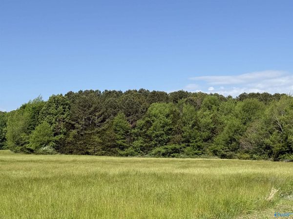 3 Acres Mount Lebanon Road, Toney, AL 35773