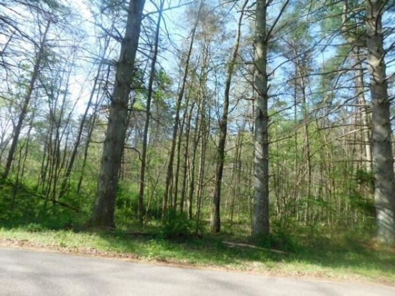 Lot C N Fairview Road, Logan, OH 43138 Photo 9