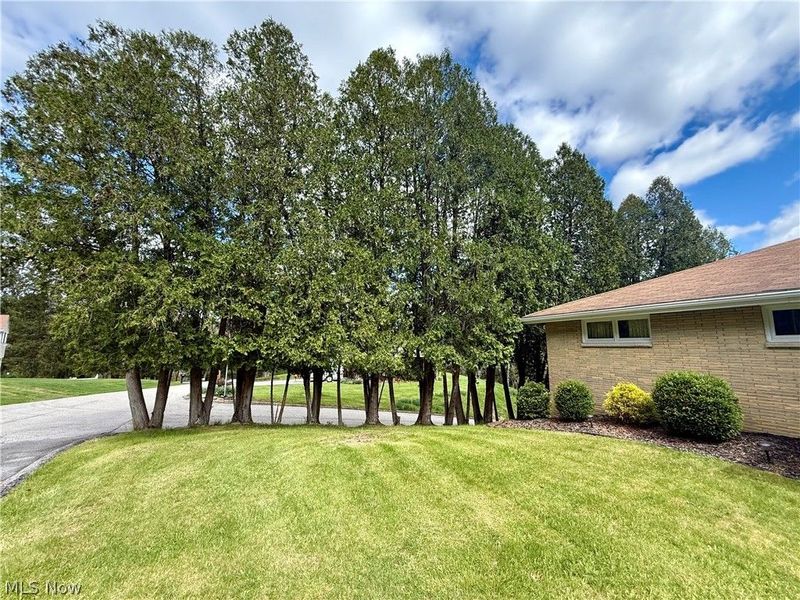 115 Nancy Street, Weirton, WV 26062 Photo 5