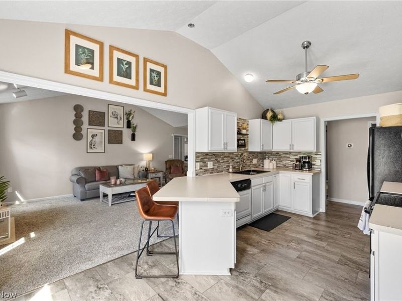 7287 Meadowhaven Drive, Chippewa Lake, OH 44215 Photo 8