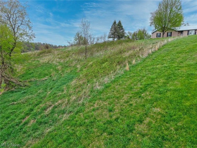 Country Boulevard , Clarington, OH 43915 Photo 12