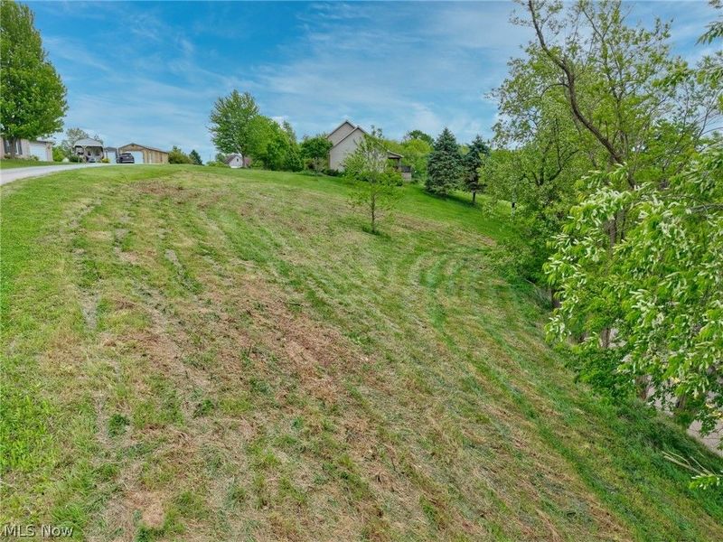 Country Boulevard, Clarington, OH 43915 Photo 9