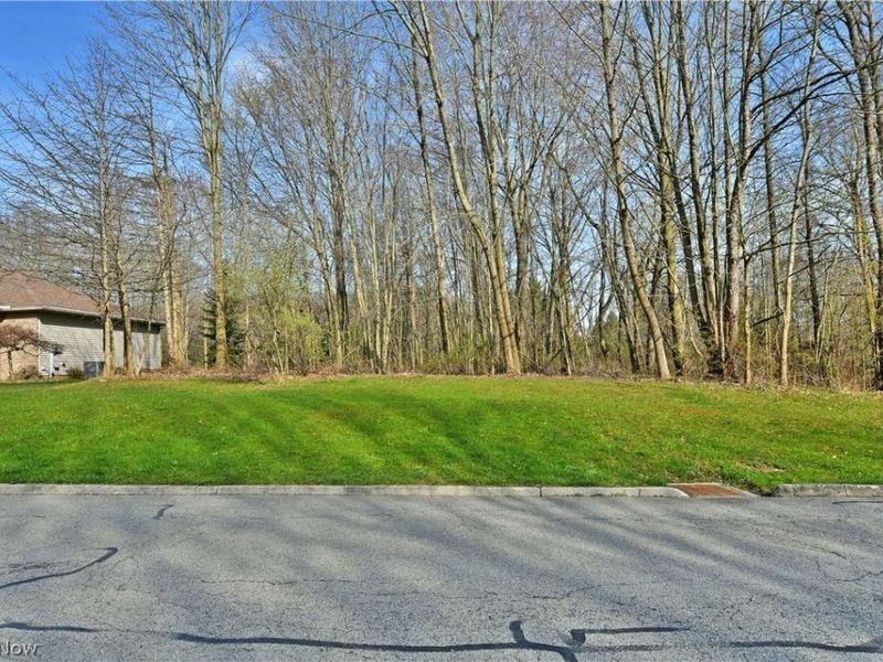 St Andrews Court, Cortland, OH 44410 Photo 12