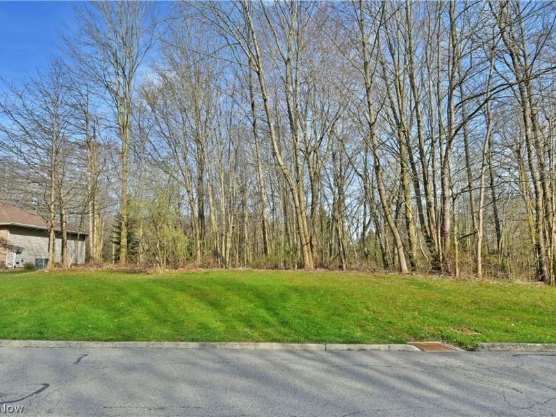 St Andrews Court, Cortland, OH 44410 Photo 13