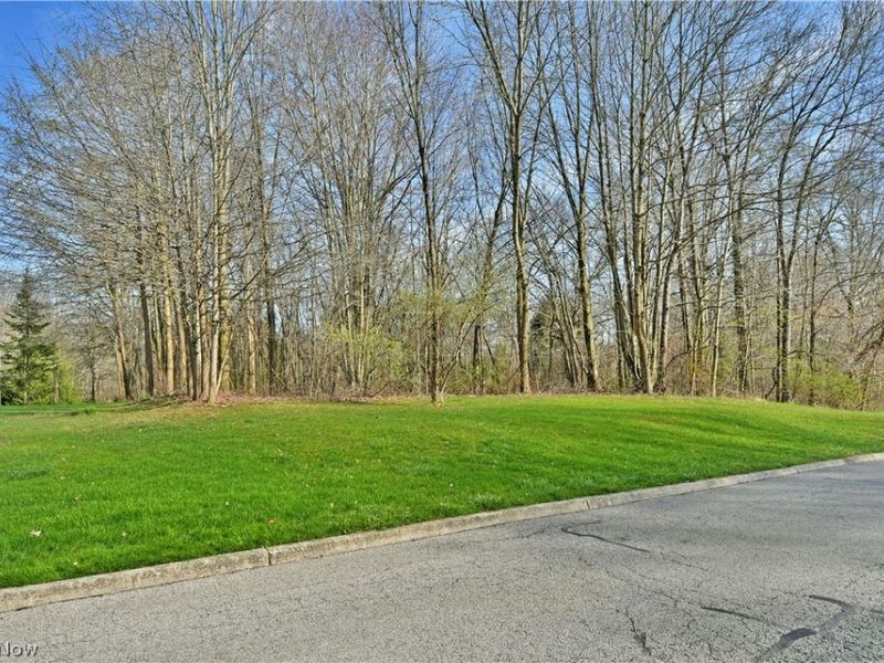 St Andrews Court, Cortland, OH 44410 Photo 14