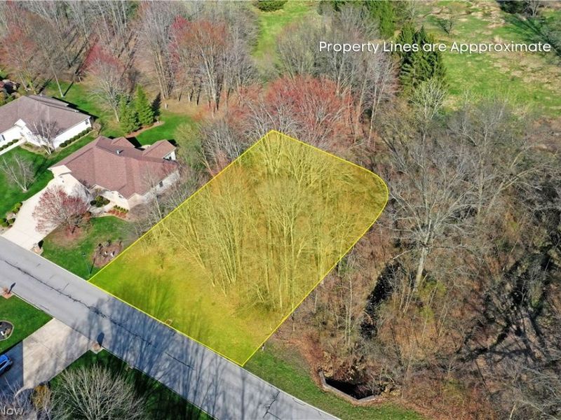 St Andrews Court, Cortland, OH 44410 Photo 4