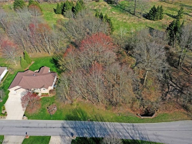 St Andrews Court, Cortland, OH 44410 Photo 5