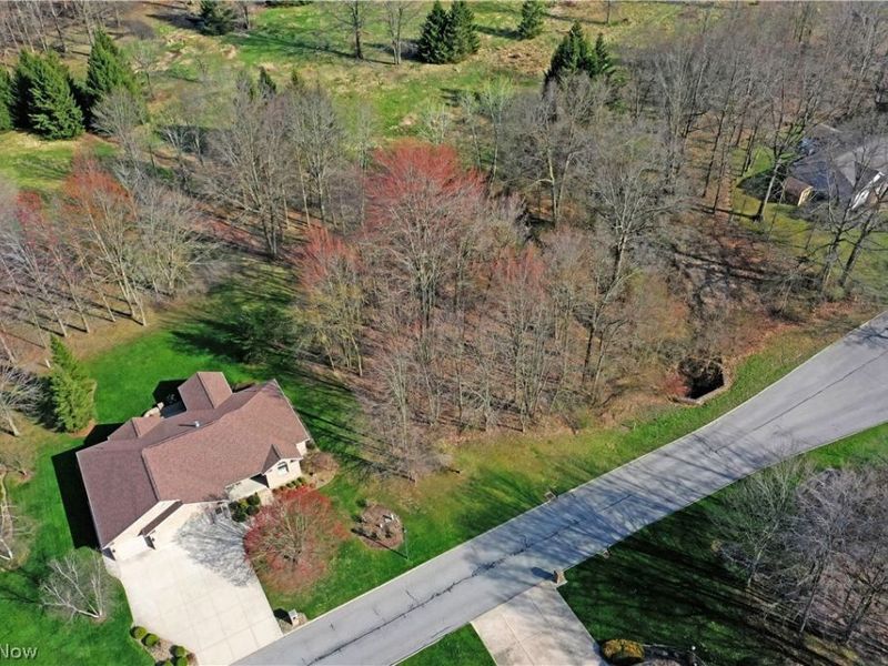 St Andrews Court, Cortland, OH 44410 Photo 6