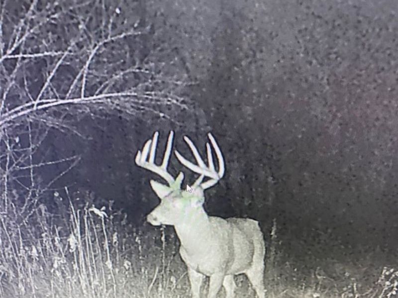 Middle Road , Ashtabula, OH 44004 Photo 2