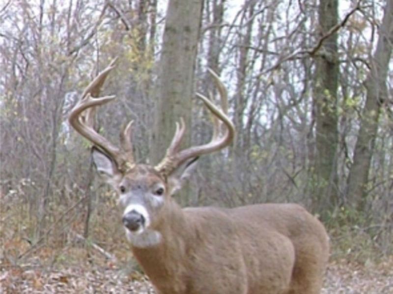 Middle Road , Ashtabula, OH 44004 Photo 3