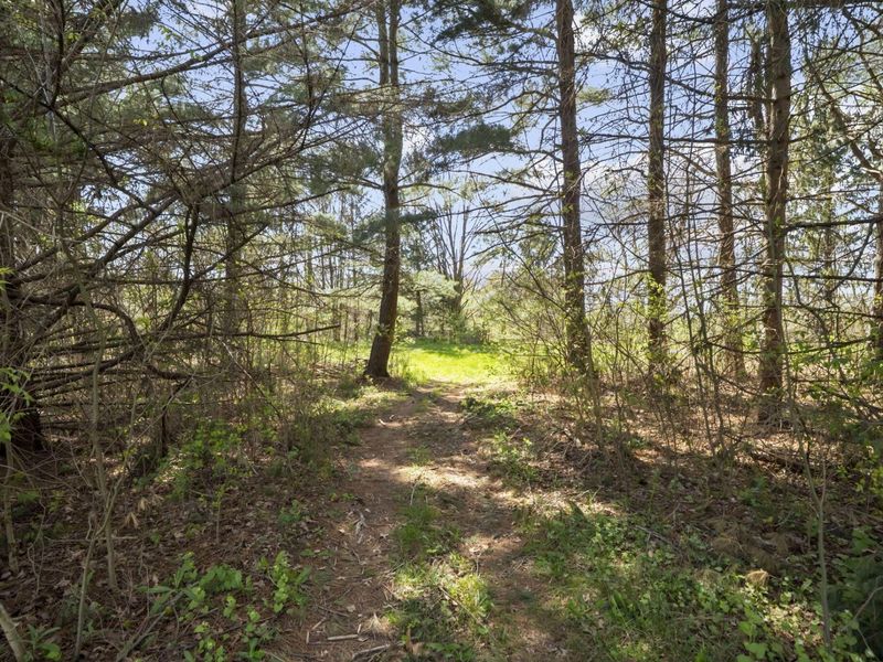 2130 County Road 26, Marengo, OH 43334 Photo 59