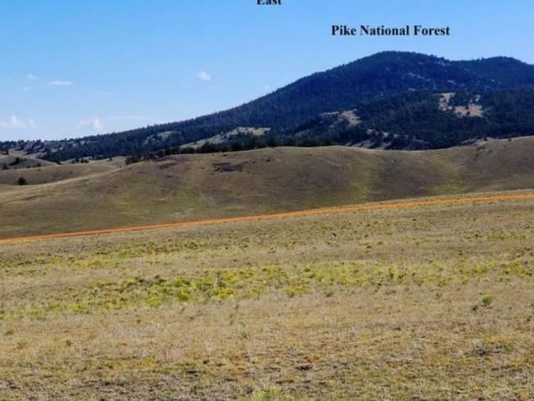 1804 Santee Trail , Guffey, CO 80820