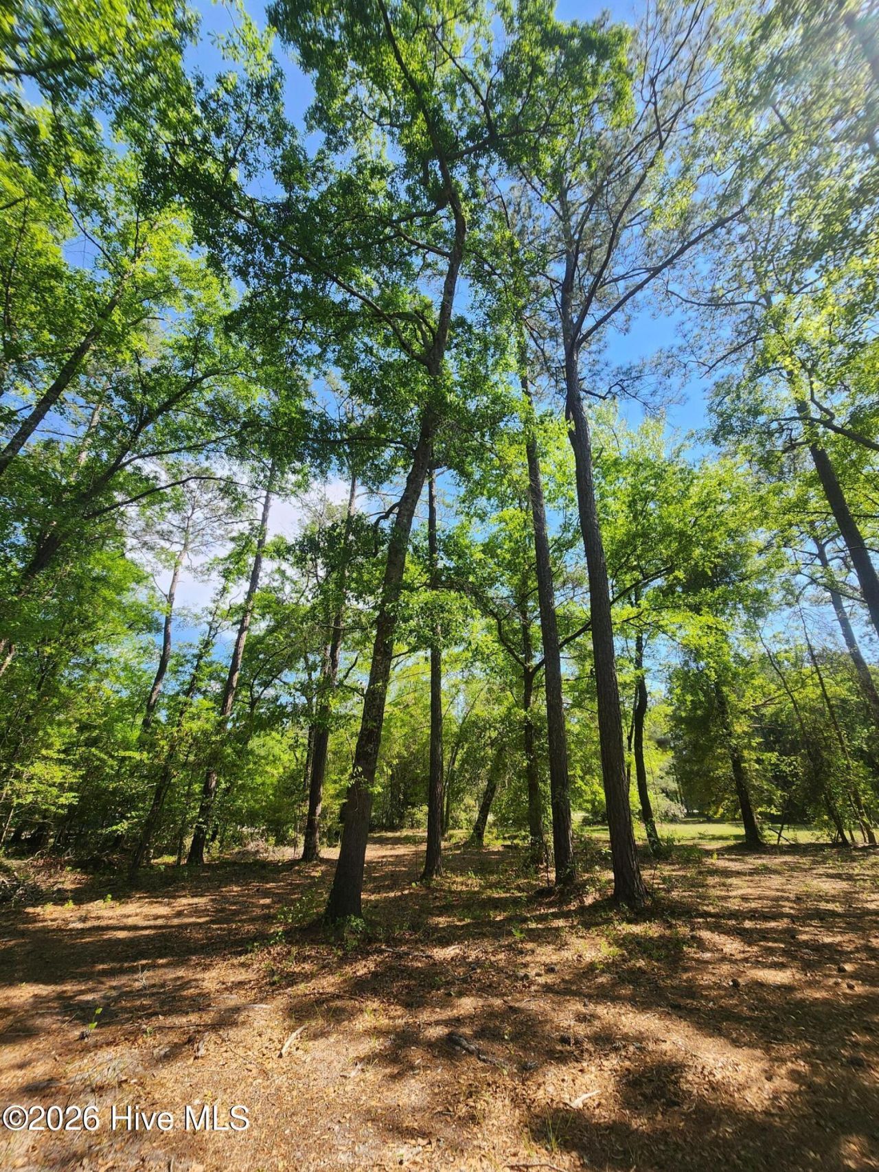 Lot 4 Shaw Highway, Rocky Point, NC 28457 Main Photo