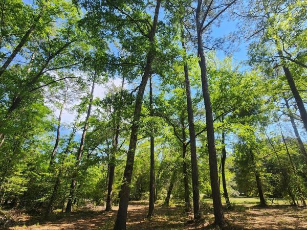 Lot 4 Shaw Highway , Rocky Point, NC 28457