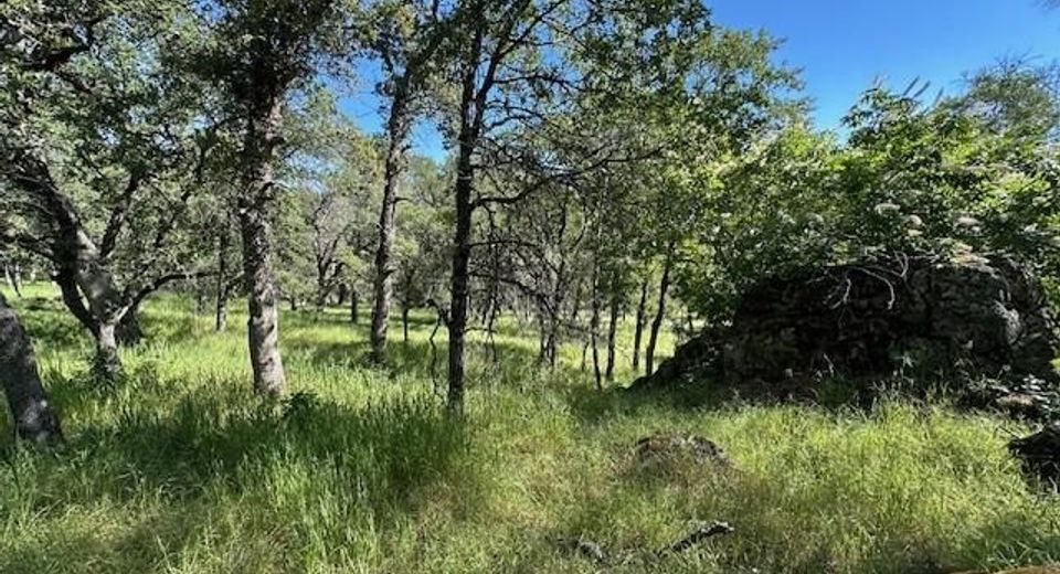 Redhill Way, Browns Valley, CA 95918 Photo