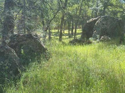 Redhill Way, Browns Valley, CA 95918 Photo