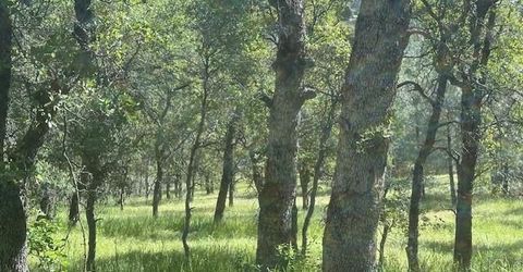 Redhill Way, Browns Valley, CA 95918 Photo